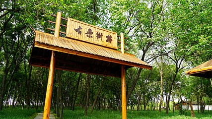 扬州凤凰岛国家湿地公园第 26 张图片
