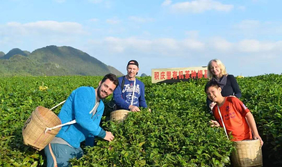 积庆里红茶谷第 47 张图片