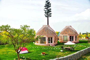 栖云花田第 17 张图片