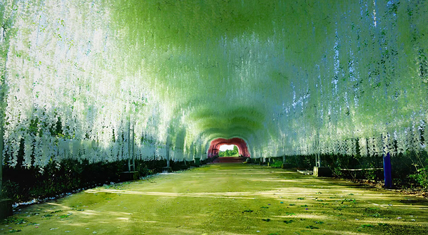 佐家寨农业休闲园