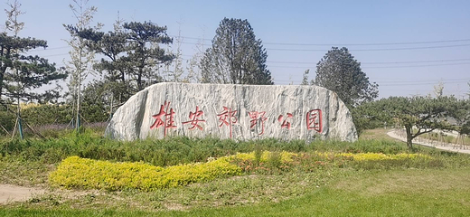 雄安郊野公园第 10 张图片