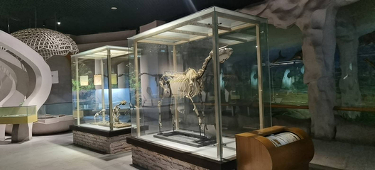 福建博物院第 32 张图片