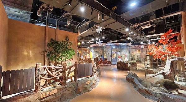 蓝小鸭萌宠乐园(万达广场惠州大亚湾店)