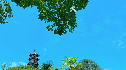 金螺岛第 3 张图片