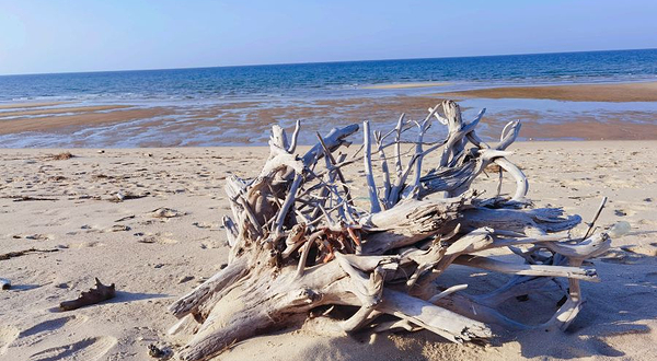 海南棋子湾滨海度假区