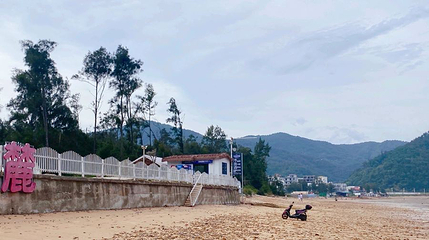 高罗沙滩国家特殊保护林带第 1 张图片