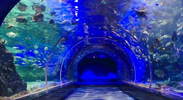 遵义冰雪海洋世界