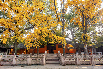 西园寺第 1 张图片