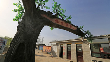 冉庄地道战遗址