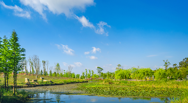 南滇池国家湿地公园