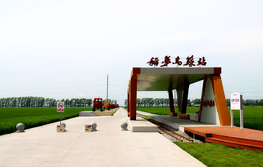 稻梦乌苏农乐园第 8 张图片