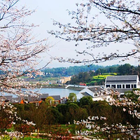 希尔寨生态农庄