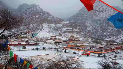 贺兰山广宗寺（南寺）生态旅游区第 60 张图片