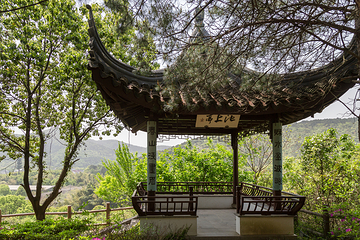 小隆中第 5 张图片