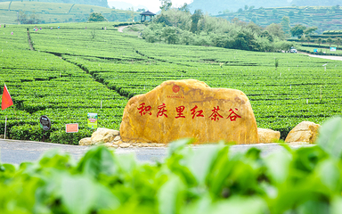 积庆里红茶谷第 1 张图片