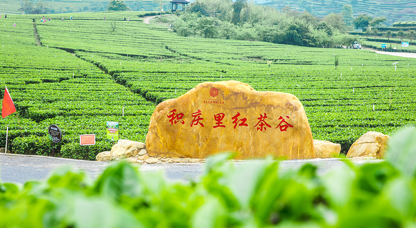 积庆里红茶谷