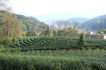 长乐庵风景区第 3 张图片