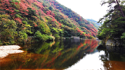 明堂山风景区第 28 张图片