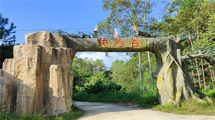 龟岭谷乡村旅游风景区第 11 张图片