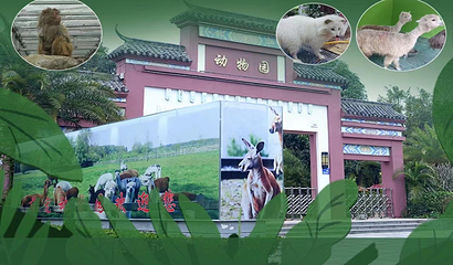 钦州园博园第 6 张图片