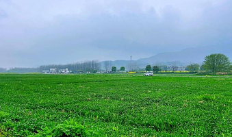 桐洲岛露营基地