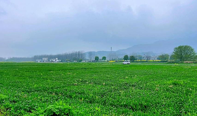 桐洲岛露营基地第 1 张图片