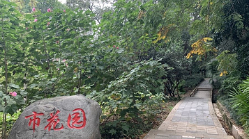 市花园