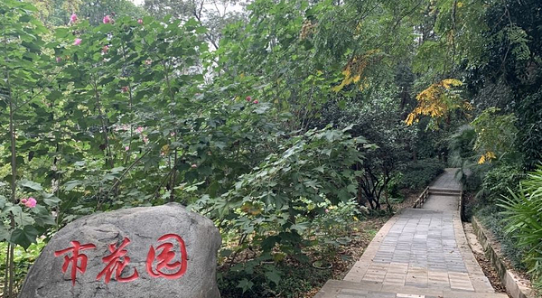 市花园
