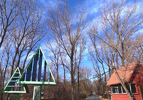 秦皇岛市海滨林场