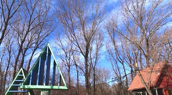 秦皇岛市海滨林场