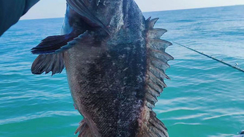 威海小海湾海上俱乐部