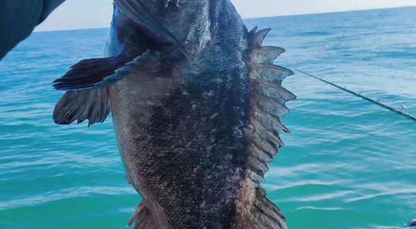 威海小海湾海上俱乐部