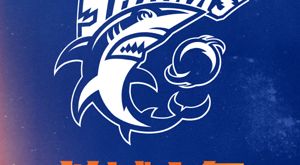 上海久事大鲨鱼主场赛