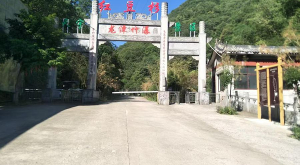 鸭石红豆杉景区