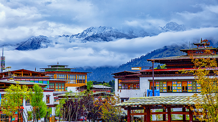 鲁朗国际旅游小镇第 7 张图片