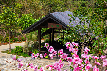清远笔架山旅游度假区第 87 张图片