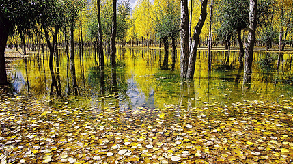 渌洋湖湿地公园第 3 张图片