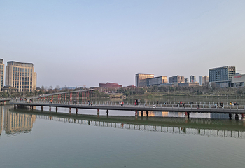 新蒲湿地公园第 32 张图片