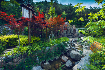 麦积山温泉第 4 张图片