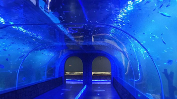 蔚蓝星海洋动物王国(兴化吾悦店)