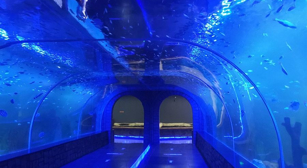 蔚蓝星海洋动物王国(兴化吾悦店)