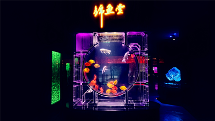 海洋之窗第 50 张图片