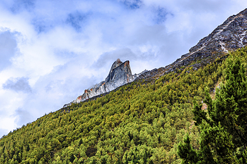 四姑娘山双桥沟景区第 192 张图片