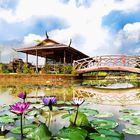 大沙里·欢茶谷