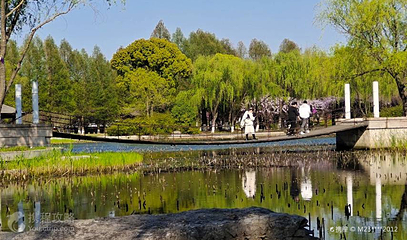 莲池湖公园第 4 张图片