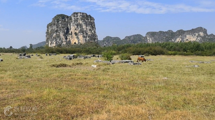 毛塘湿地公园第 3 张图片