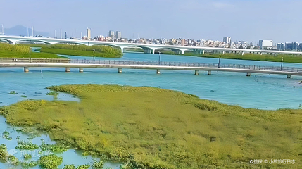 下潭尾滨海湿地公园第 2 张图片