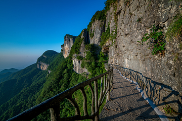 金佛山北坡景区第 31 张图片