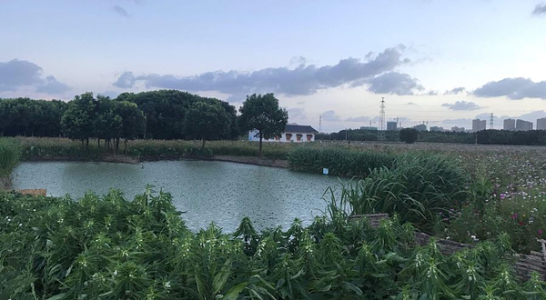 永旺村休闲公园