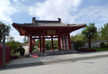 兰花园第 1 张图片